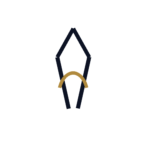 Chocron Plastic Surgery logo